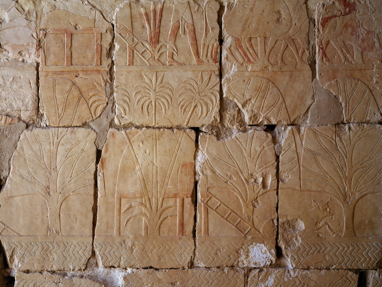  av Egyptian 18th Dynasty