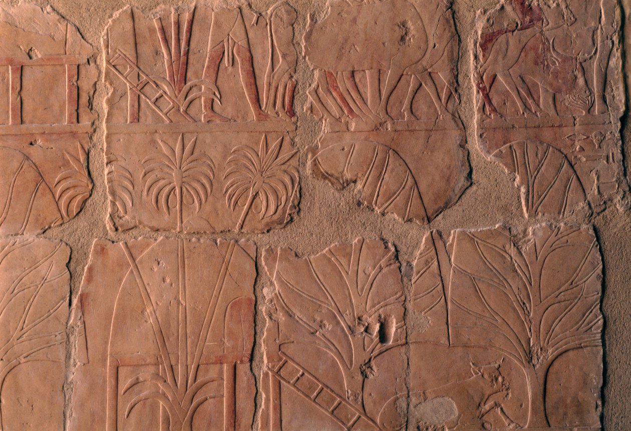  av Egyptian 18th Dynasty