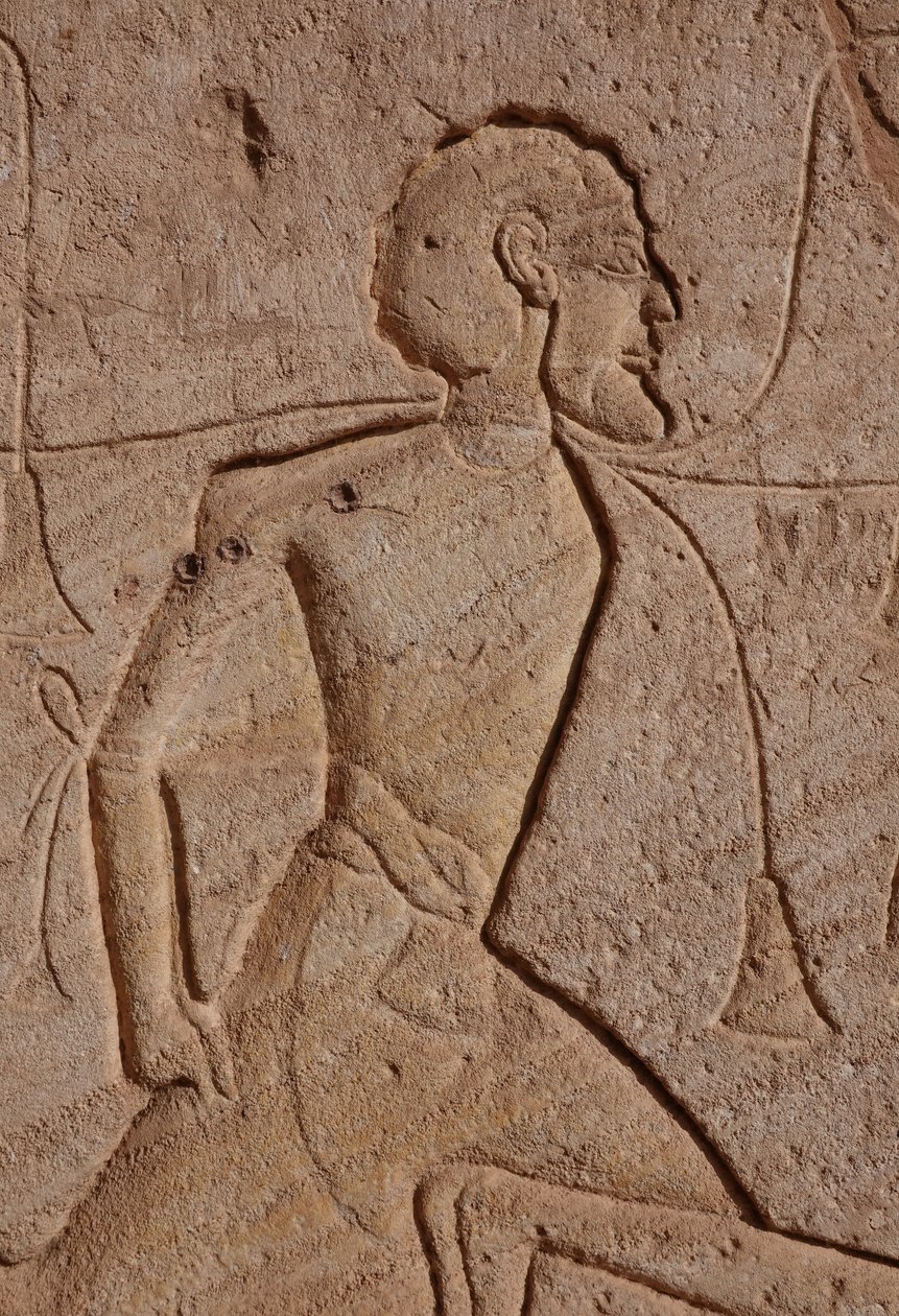  av Egyptian 19th Dynasty