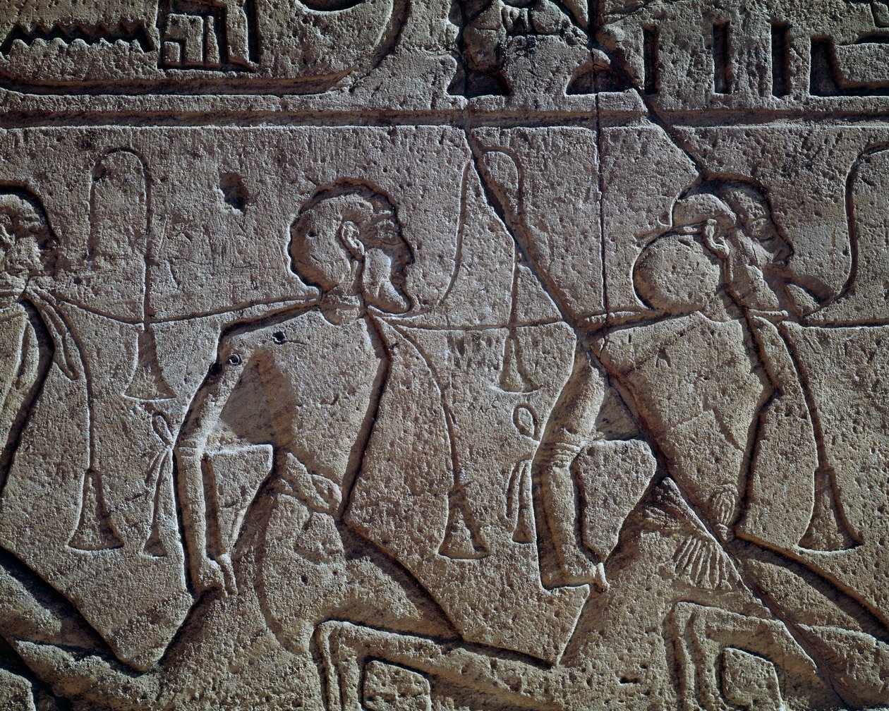  av Egyptian 19th Dynasty