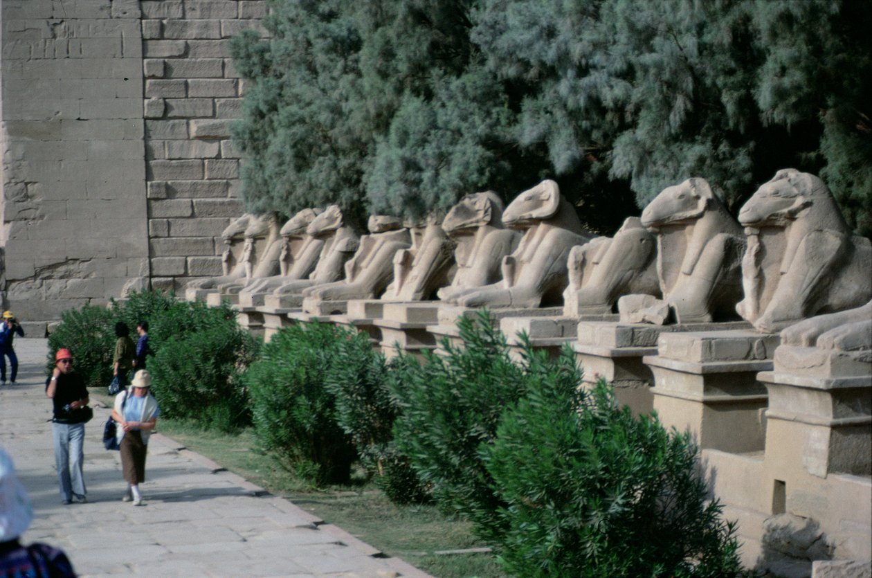 Aveny med ramhodede sfinkser langs prosesjonsveien til Amuns store tempel, New Kingdom av Egyptian 19th Dynasty