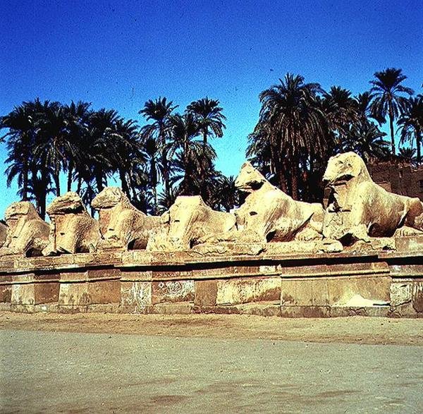Aveny med ramhodede sfinkser langs prosesjonsveien til Amuns store tempel, New Kingdom av Egyptian 19th Dynasty