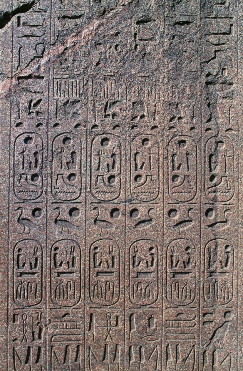 Blokk med relieffer og inskripsjoner, Great Temple of Amun, Tanis, Egypt, New Kingdom, Dynasty XIX av Egyptian 19th Dynasty