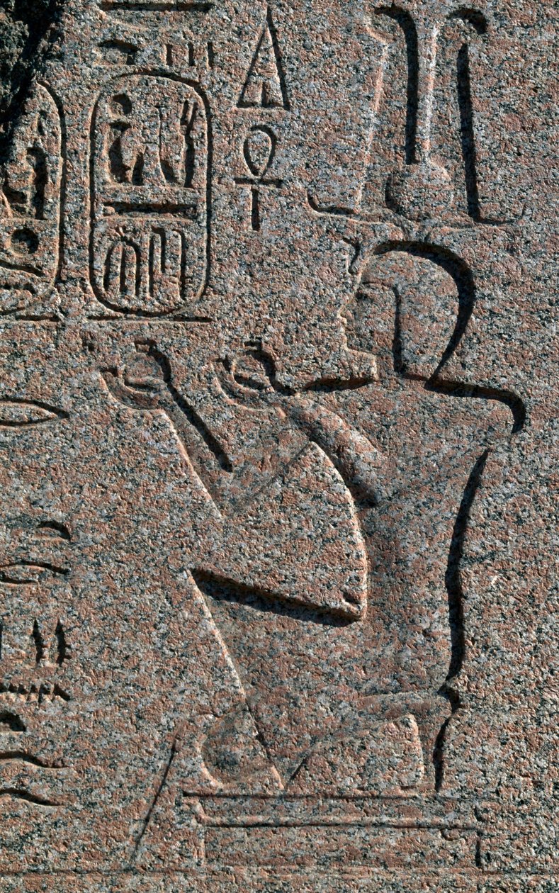  av Egyptian 19th Dynasty