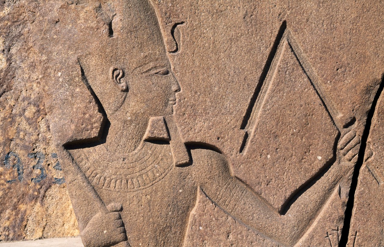  av Egyptian 19th Dynasty