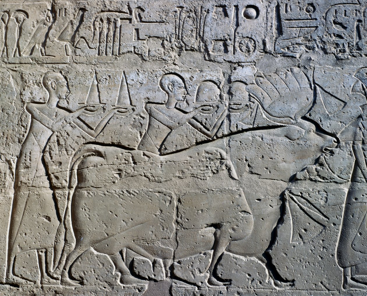  av Egyptian 19th Dynasty