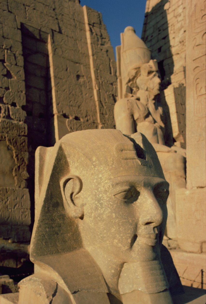 Kolossalt overhode for Ramesses II (1298-32 f.Kr.) New Kingdom av Egyptian 19th Dynasty