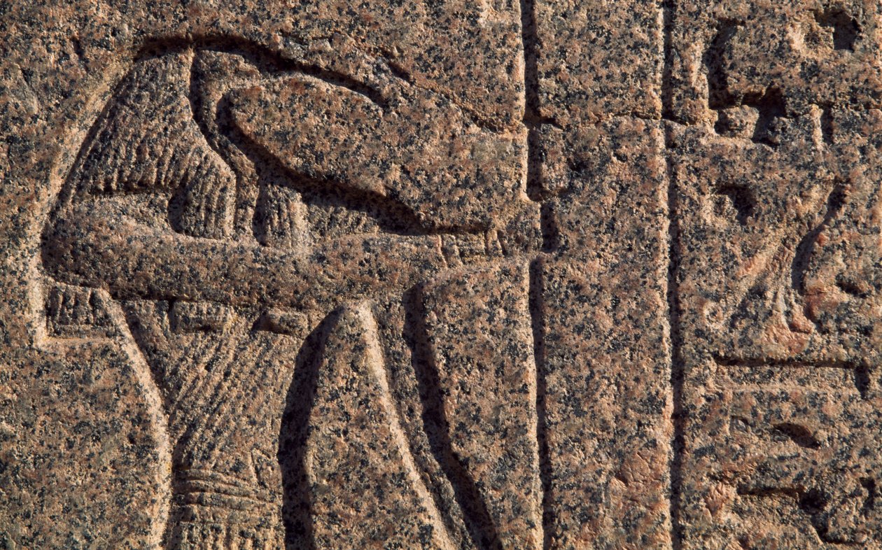 Skildring av Thoth, detalj av inskripsjon og relieff av Thoth og Horus, Amenhoteps sarkofag, Memphis (Unescos verdensarvliste av Egyptian 19th Dynasty