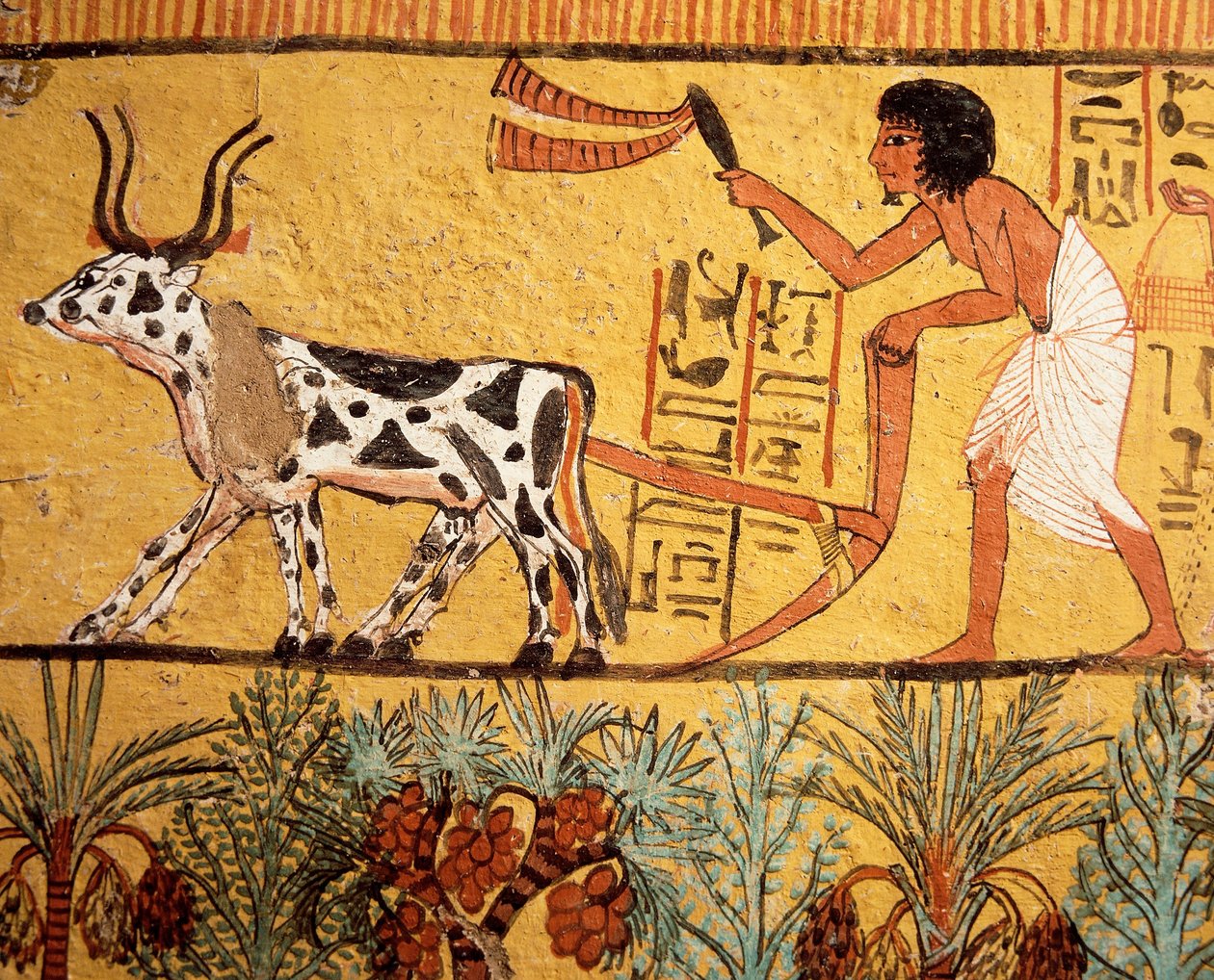  av Egyptian 19th Dynasty