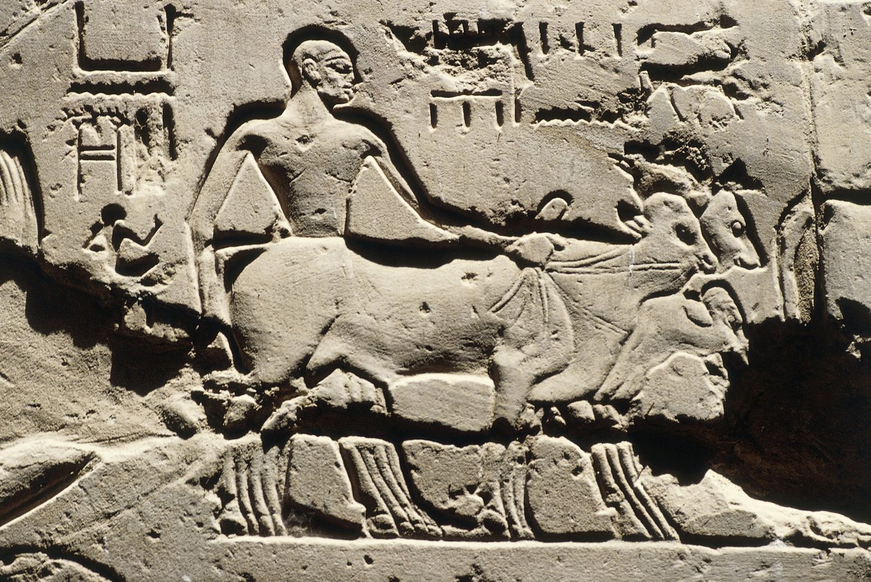  av Egyptian 19th Dynasty