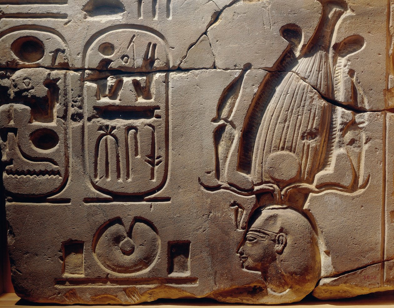  av Egyptian 19th Dynasty