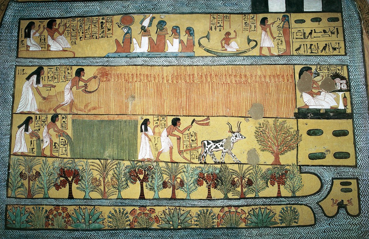  av Egyptian 19th Dynasty