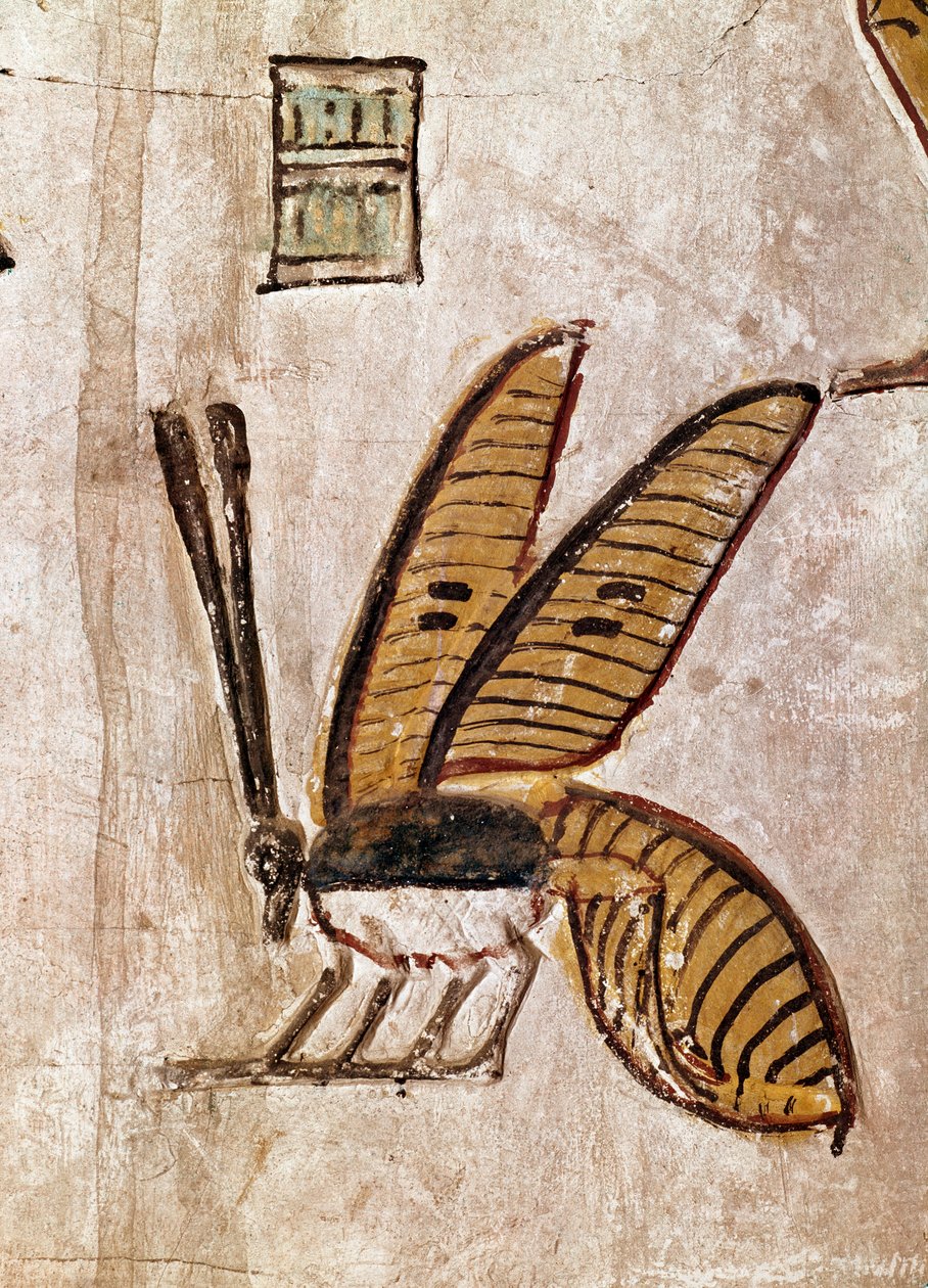 Egyptisk kunst: Graven til Sethi I (Sety I eller Seti I, regne fra -1294 til -1279). Detalj av bien. 19. dynastiets freskomaleri av Luxor (Tebens sted i kongenes dal), venstre bredd av Nilen, Egypt. - Det gamle Egypt: Graven til Seti I (Sety I og Seti I, s av Egyptian 19th Dynasty