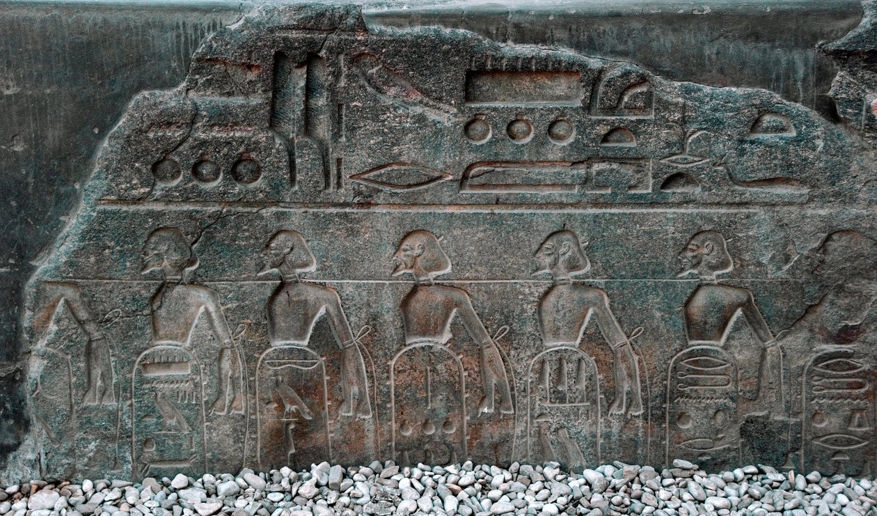 Egyptisk antikvitet: detalj av et relieff som dekorerer emblemene til territoriene erobret av farao Ramses II (1292-1186 f.Kr.). Luxors tempel. Østbredden (Theben), Egypt av Egyptian 19th Dynasty
