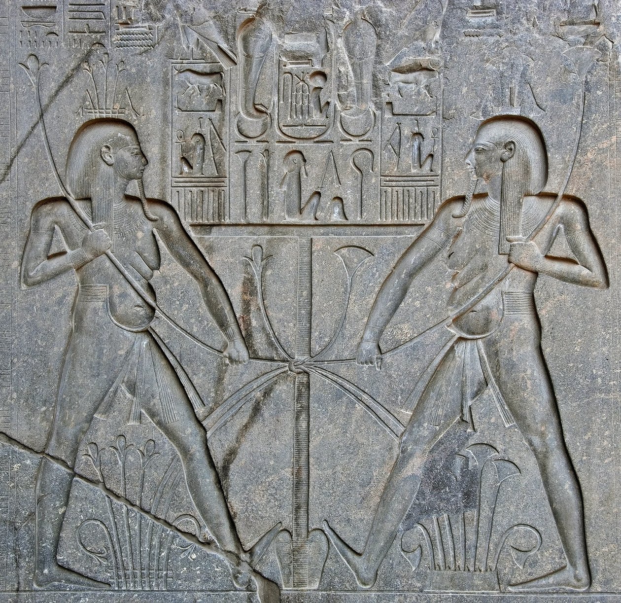 Egyptisk antikvitet: detalj av basen til statuen av farao Ramses II (1292-1186 f.Kr.) som representerer foreningen av Øvre og Nedre Egypt. Tempel i Luxor. Østbredden (Theben), Egypt av Egyptian 19th Dynasty