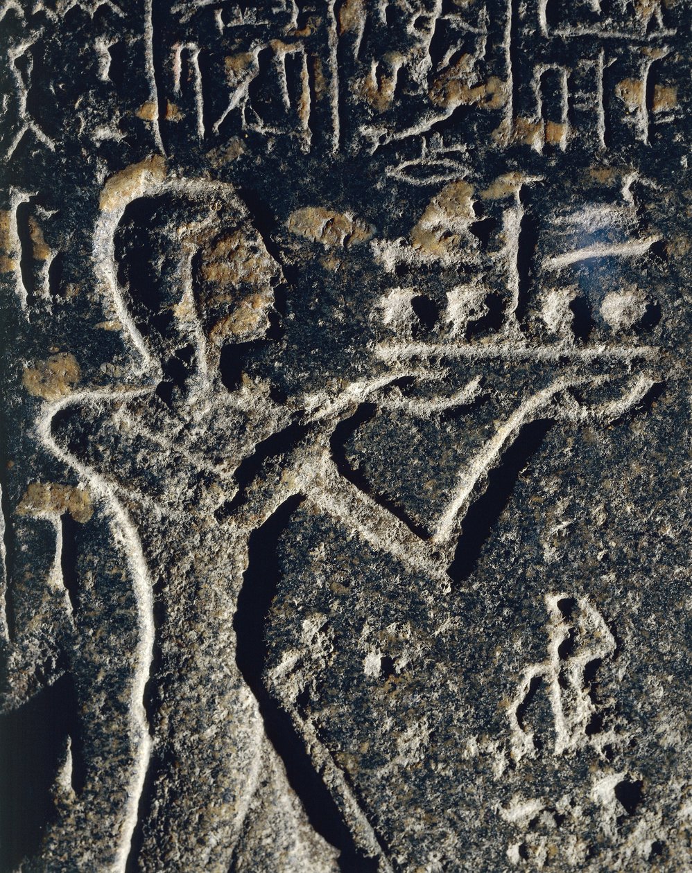 av Egyptian 19th Dynasty