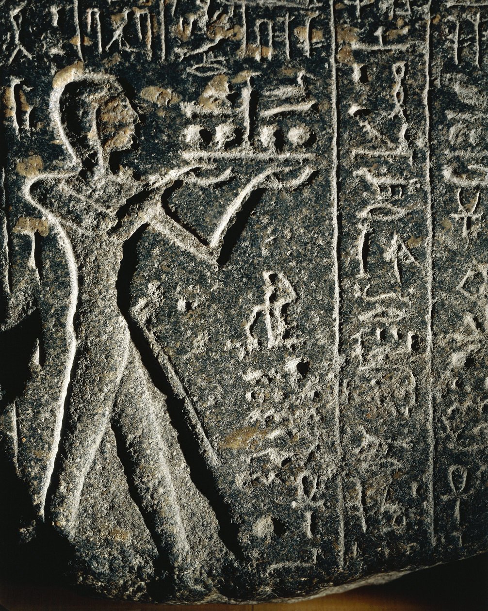 av Egyptian 19th Dynasty