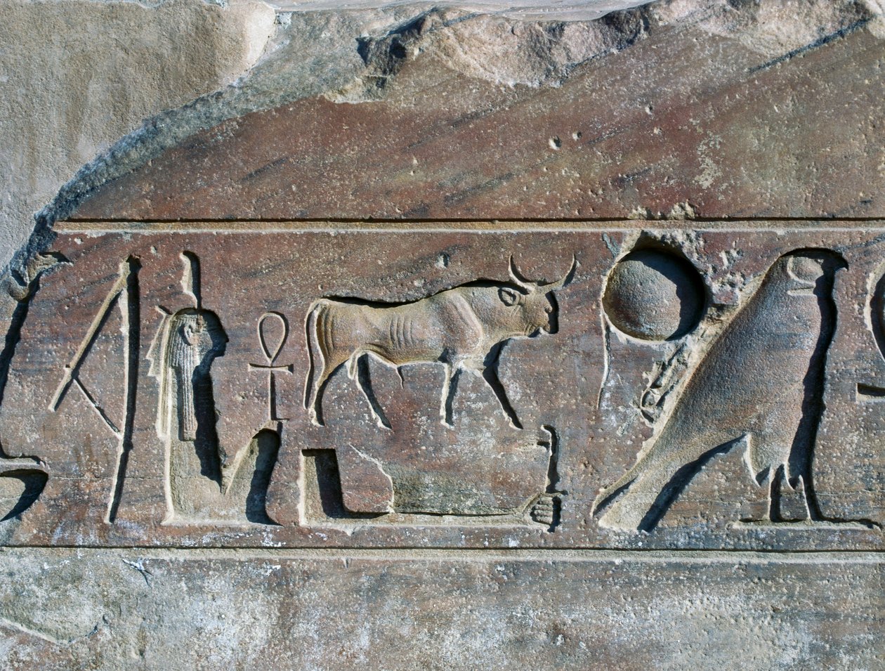 Hieroglyfer med navnet til Ramesses II, base av obelisken, Temple of Amun (Unescos verdensarvliste) av Egyptian 19th Dynasty