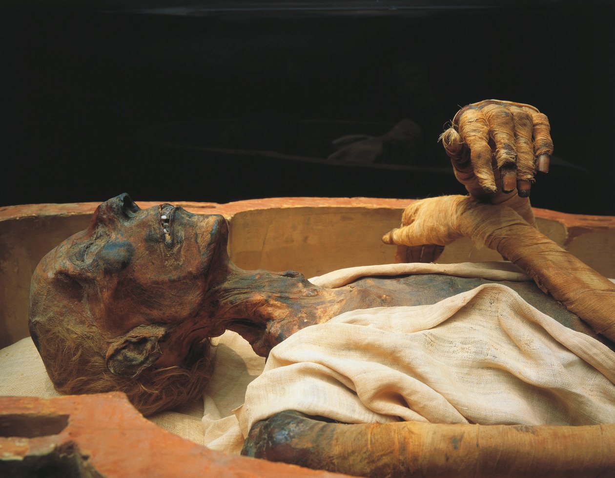  av Egyptian 19th Dynasty