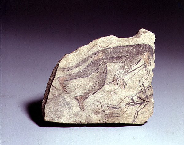 Ostracon med en figur av en ape som spiller fløyte, New Kingdom (malt kalkstein) av Egyptian 19th Dynasty