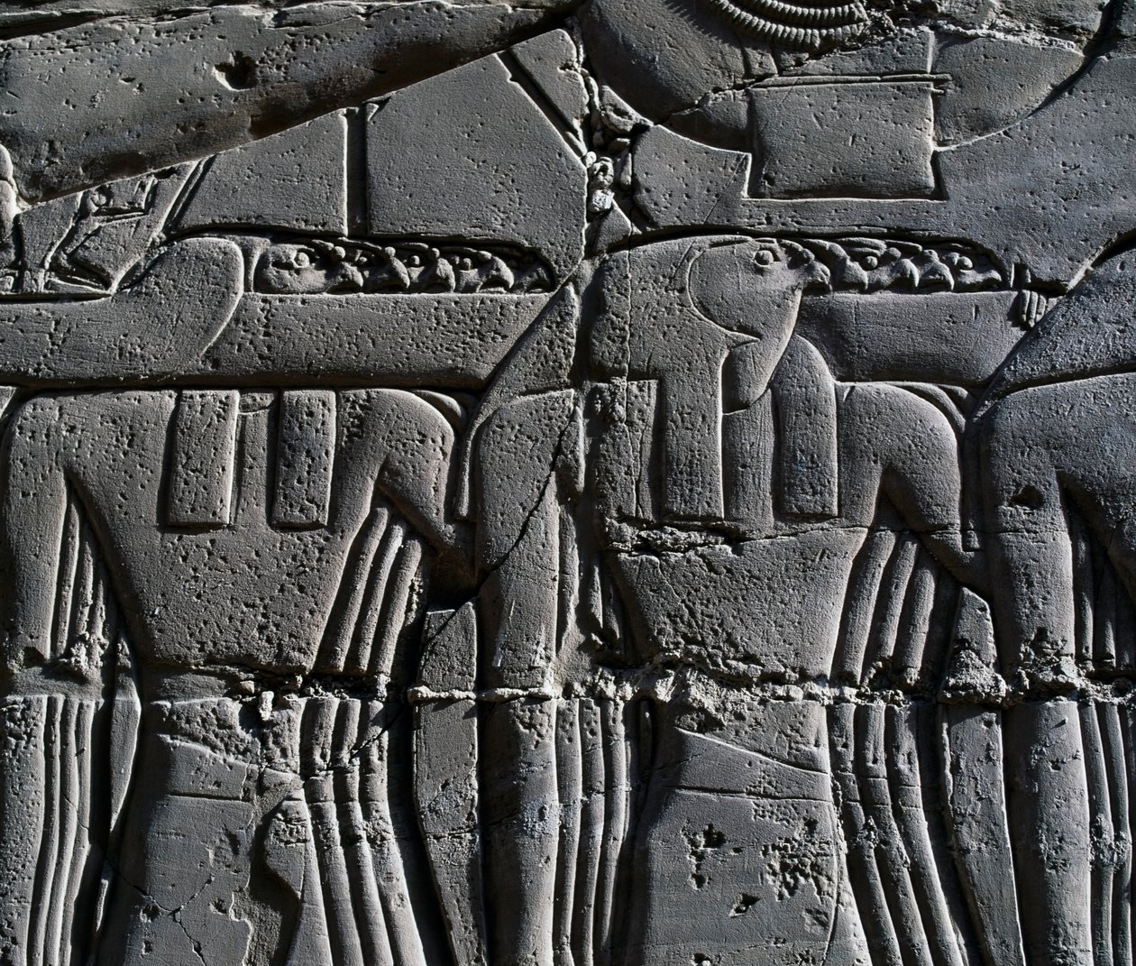  av Egyptian 19th Dynasty
