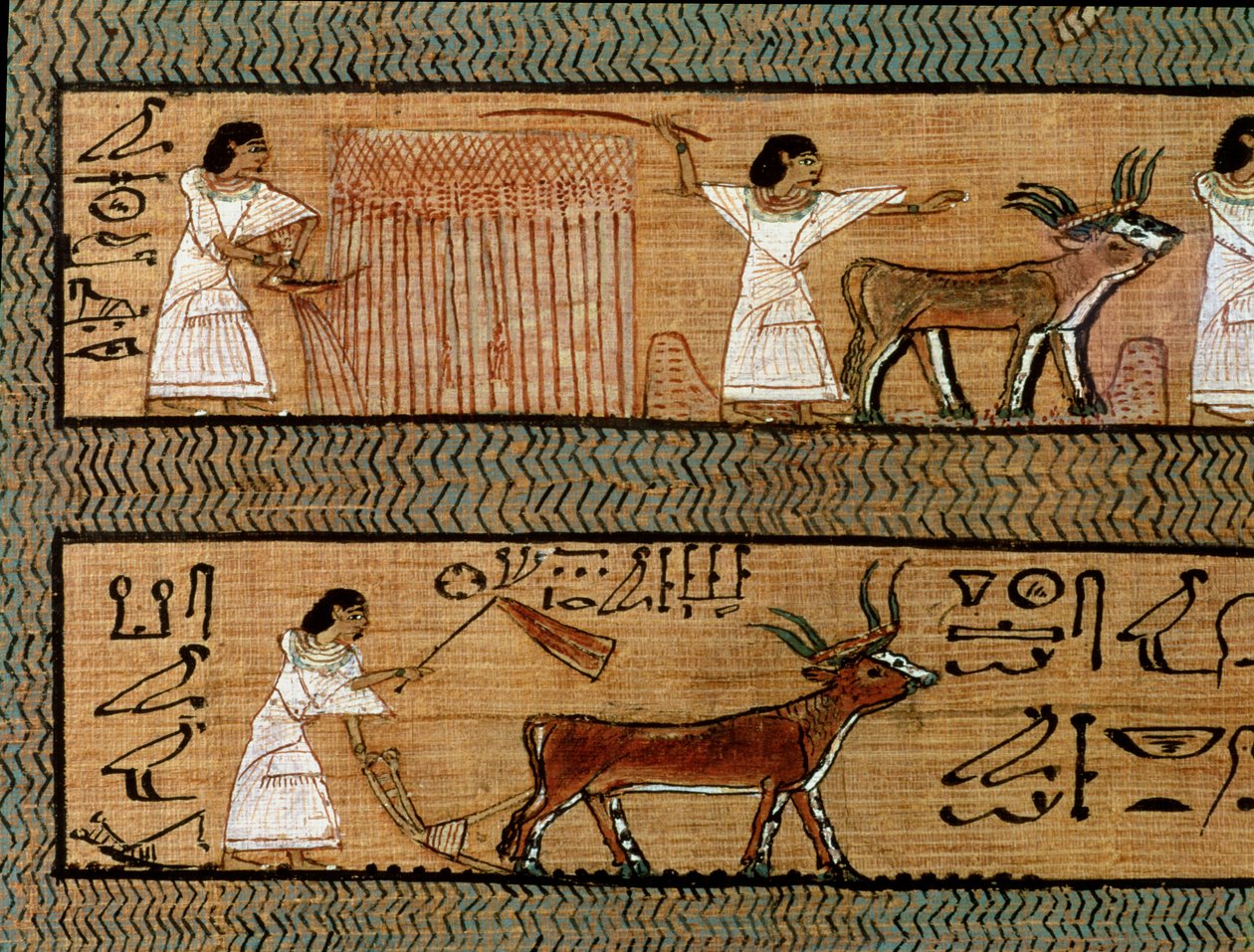 Høsting og pløying, detalj fra en skildring av jordbruksaktiviteter i etterlivet, fra Book of the Dead of the Scribe Any, ca. 1250 f.Kr. av Egyptian 19th Dynasty