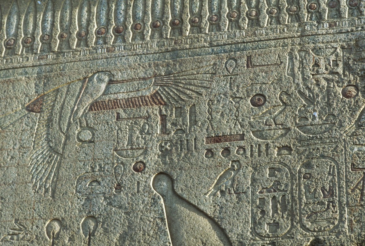  av Egyptian 19th Dynasty