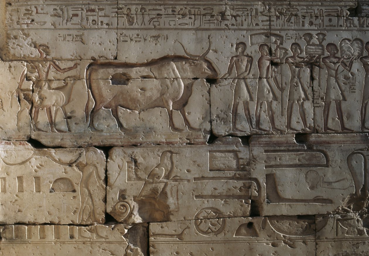 Relieff, Temple of Ramses II, Abydos, Egypt, egyptisk sivilisasjon, New Kingdom, Dynasty XIX (bilde) av Egyptian 19th Dynasty