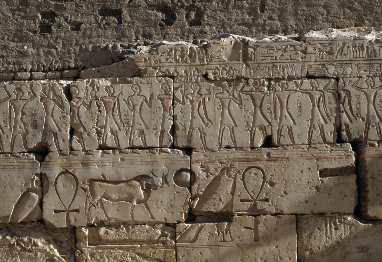 Relieff, Temple of Ramses II, Abydos, Egypt, egyptisk sivilisasjon, New Kingdom, Dynasty XIX (bilde) av Egyptian 19th Dynasty