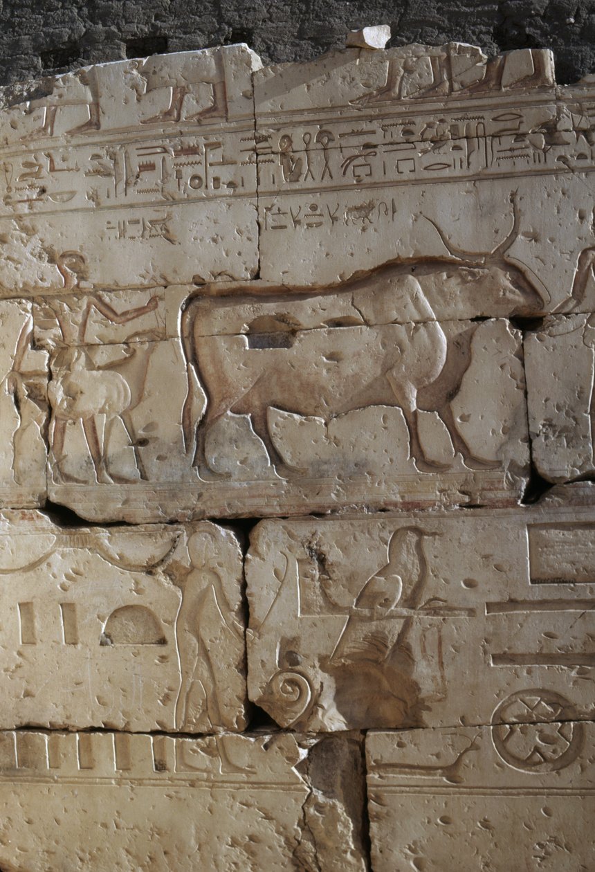 Relieff, Temple of Ramses II, Abydos, Egypt, egyptisk sivilisasjon, New Kingdom, Dynasty XIX (bilde) av Egyptian 19th Dynasty