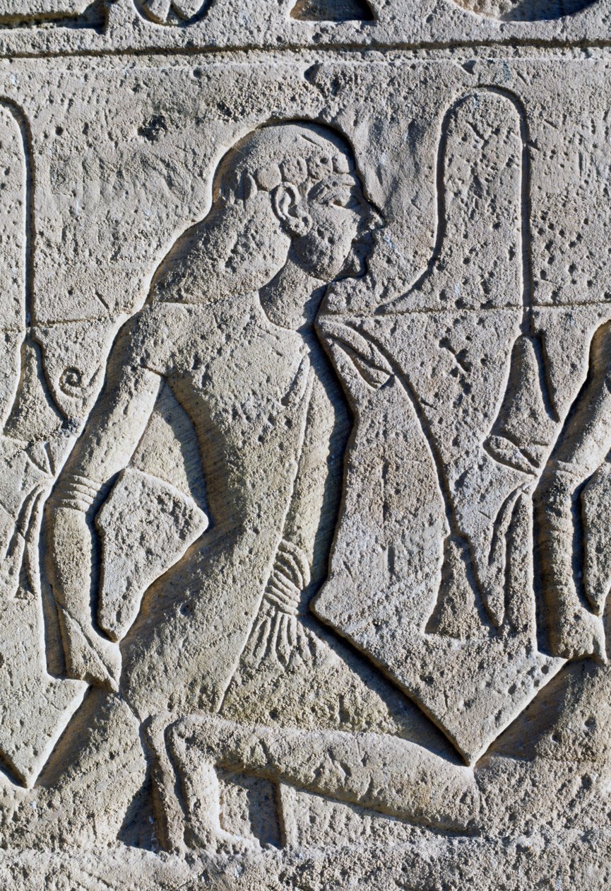  av Egyptian 19th Dynasty