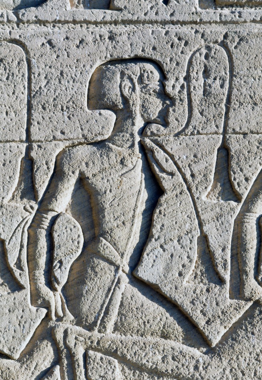  av Egyptian 19th Dynasty