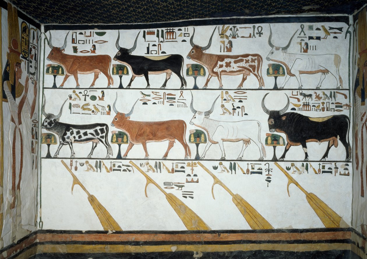 Syv himmelske kyr, ektemann okse og fire styrende årer, kapittel 148 i Book of Dead, detalj fra fresker i andre kammer av Tomb of Nefertari, Valley of Queens, Luxor, Theben. Egyptisk sivilisasjon, New Kingdom, Dynasty XIX. av Egyptian 19th Dynasty