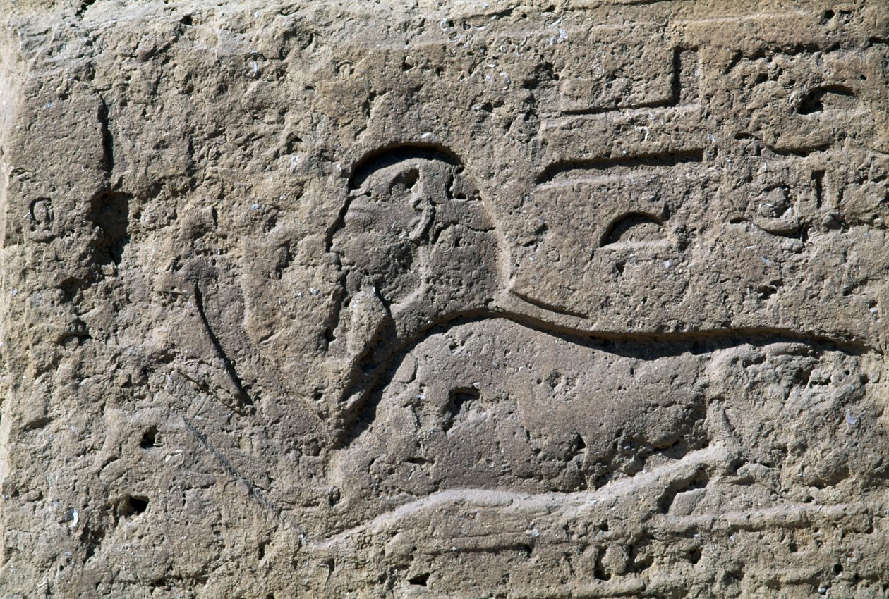  av Egyptian 19th Dynasty