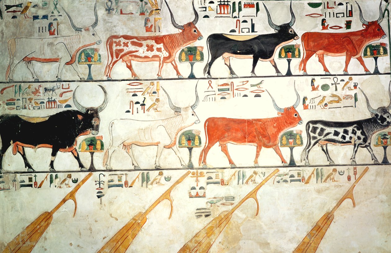 De syv himmelkyrne og den hellige oksen og himmelens fire ror, fra graven til Nefertari, New Kingdom (veggmaleri) av Egyptian 19th Dynasty