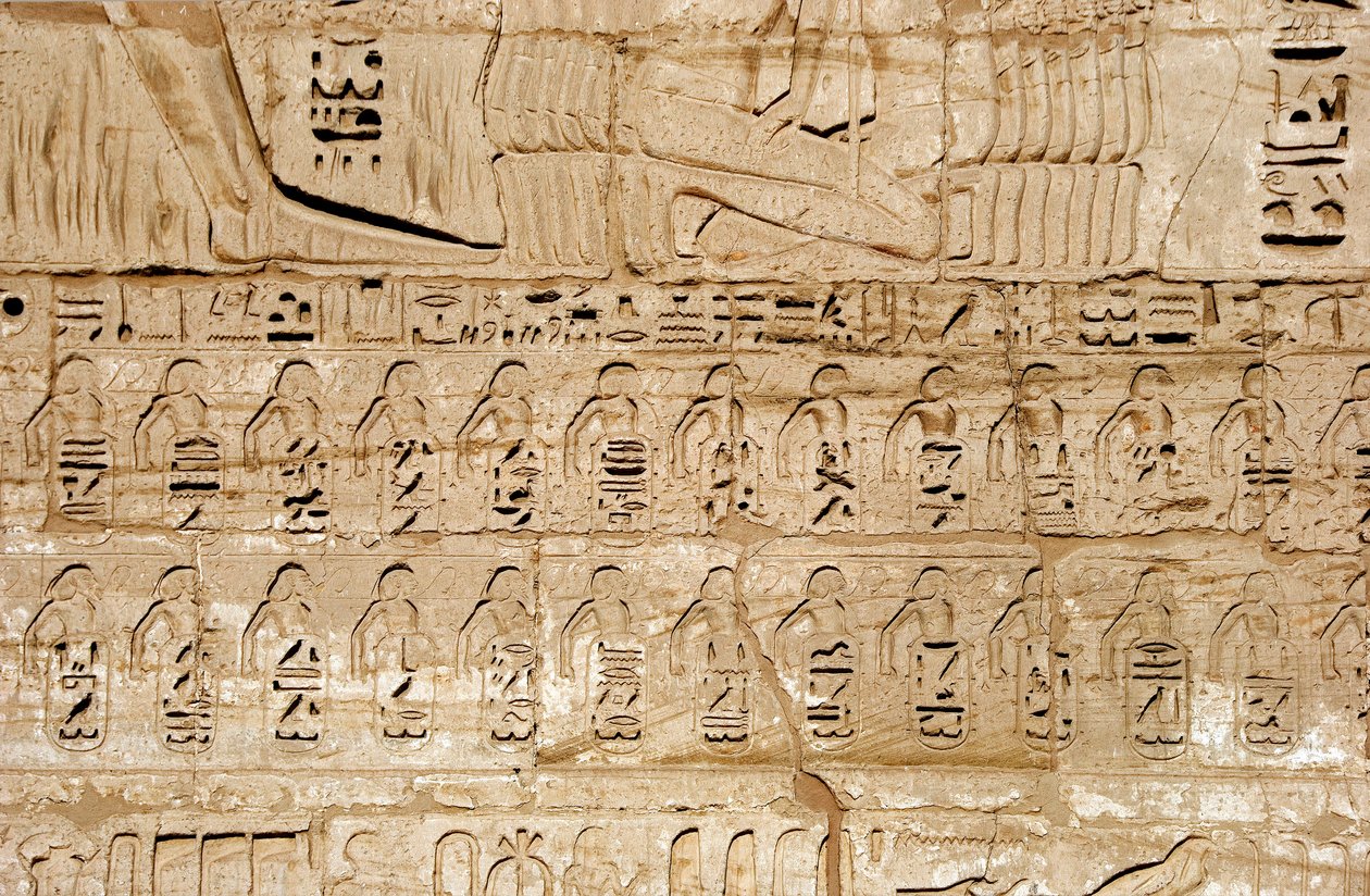 Egyptisk antikvitet: detalj av relieffene til den første pylonen som representerer emblemene til byene erobret av farao Ramses III. Begravelsestempelet til Ramses III (1187–1156 f.Kr.). Luxor, Medinet Habou, Egypt av Egyptian 20th Dynasty