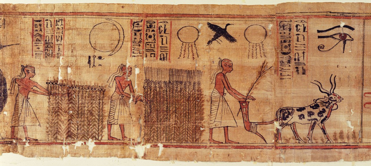 Book of the Dead of Neb-Hepet, detalj av feltene av Egyptian 21st Dynasty