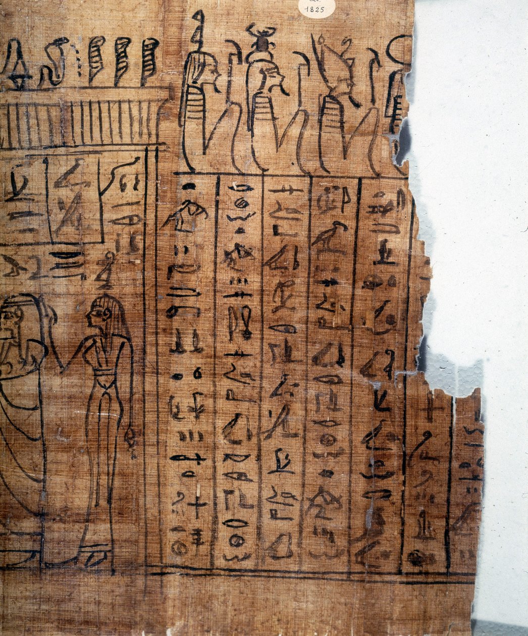 The Book of the Dead: Egyptisk hieroglyf på en papyrus fra det 22. dynastiet. Detalj. 9. århundre f.Kr. Torino, egyptisk museum. av Egyptian 22nd Dynasty