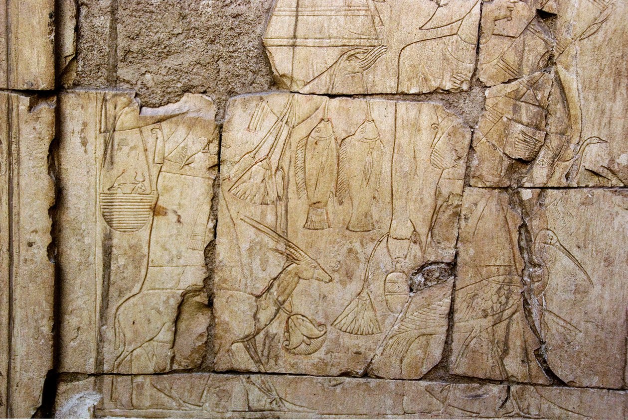 Egyptisk antikvitet: relieff som representerer bærere av ofre. Ankh-Hors grav (Ankh Hor) (TT414) (26. dynasti, 672-525 f.Kr.), Luxor (Theben), Egypt av Egyptian 26th Dynasty
