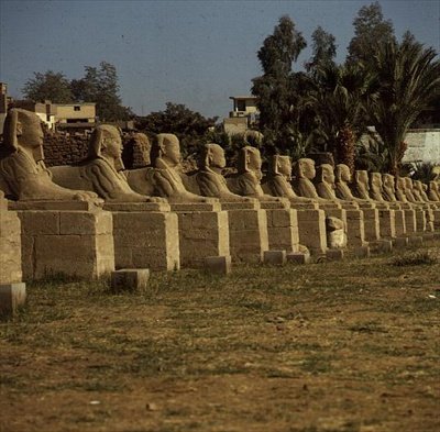 Avenue of Sphinxes, lagt til av Nectanebo I (380-362 f.Kr.) Sen periode av Egyptian 30th Dynasty