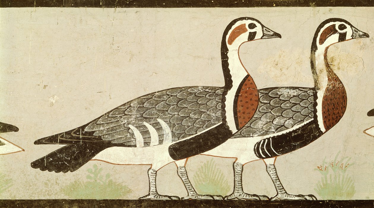 Meidum gjess, fra graven til Nefermaat og Atet, Old Kingdom, ca. 2620 f.Kr. (malt stukkatur) av Egyptian 4th Dynasty