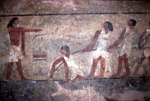 Maleri av fiskere som drar garn i graven til Khnumhotep II, Old Kingdom, 2600-1500 f.Kr. (veggmaleri) av Egyptian 4th Dynasty