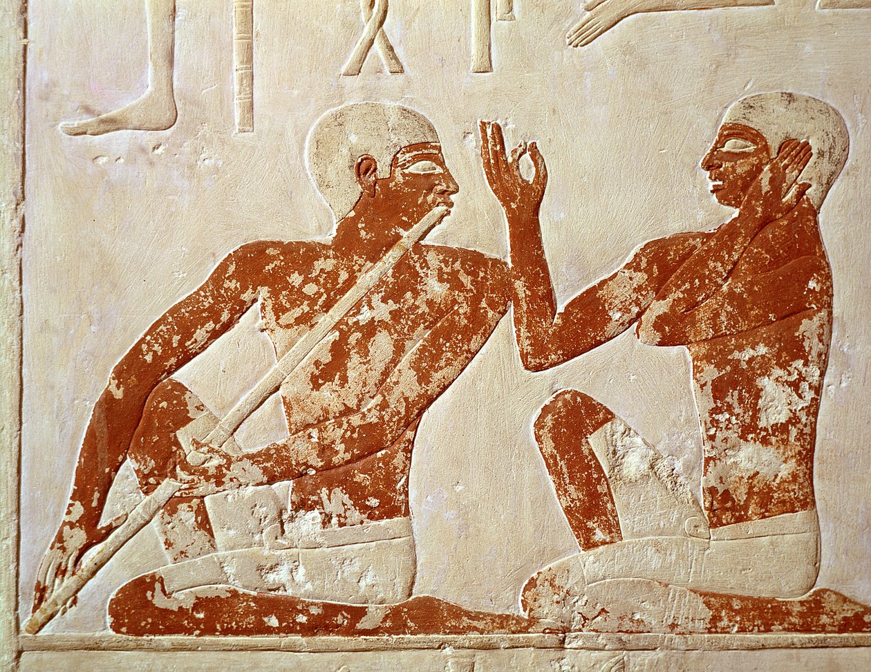 Malt relieff som viser en fløytespiller og en sanger ved en begravelsesbankett, fra graven til Nenkhefetka, Saqqarah, Old Kingdom, ca. 2400 f.Kr. (veggmaleri) av Egyptian 5th Dynasty