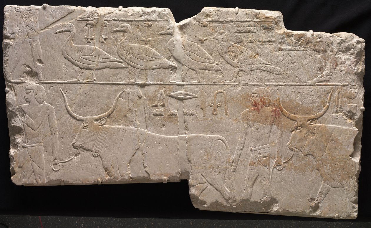 Relieff av menn som bringer fugler og storfe, ca. 2311-2281 f.Kr av Egyptian 6th Dynasty