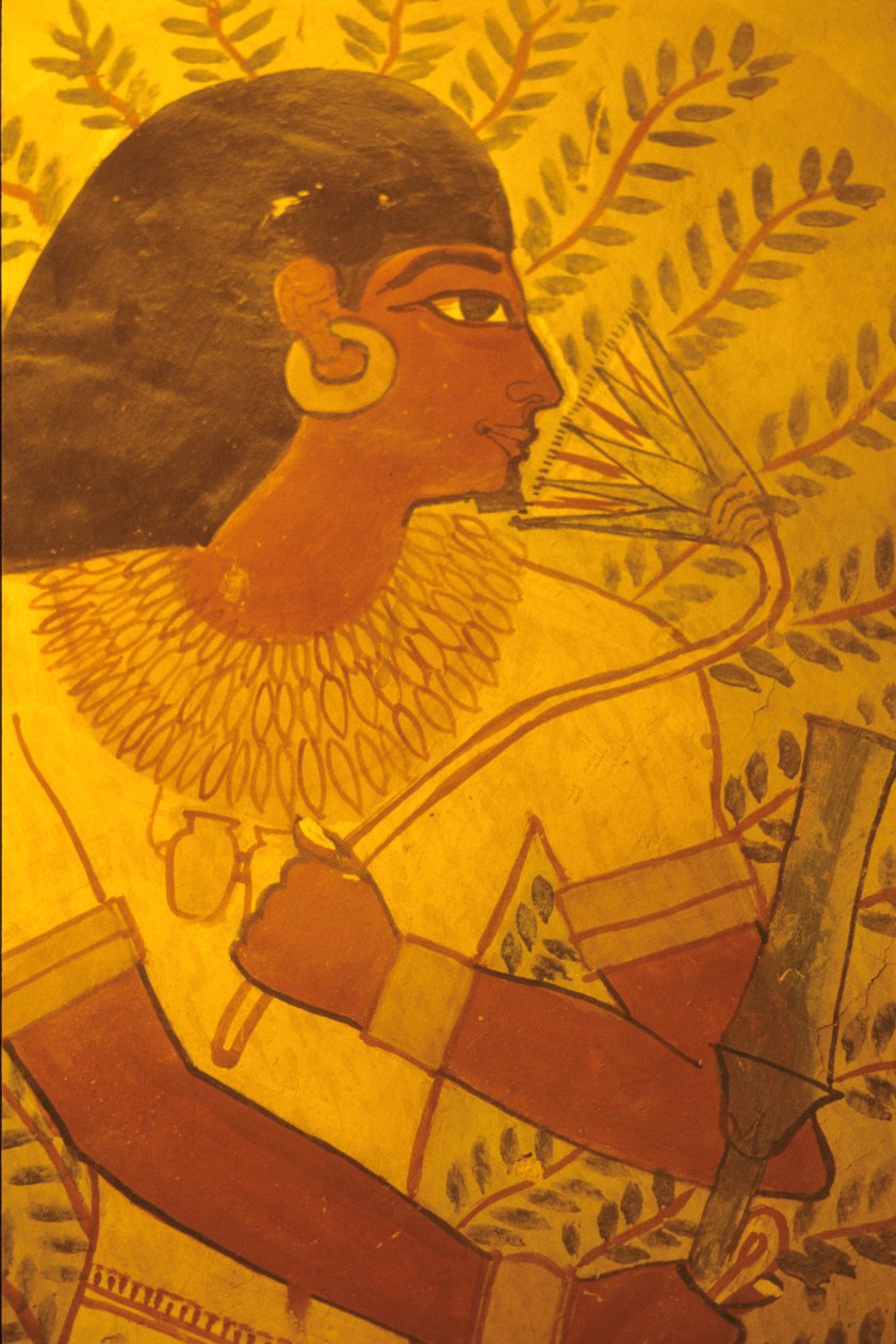  av Egyptian Egyptian