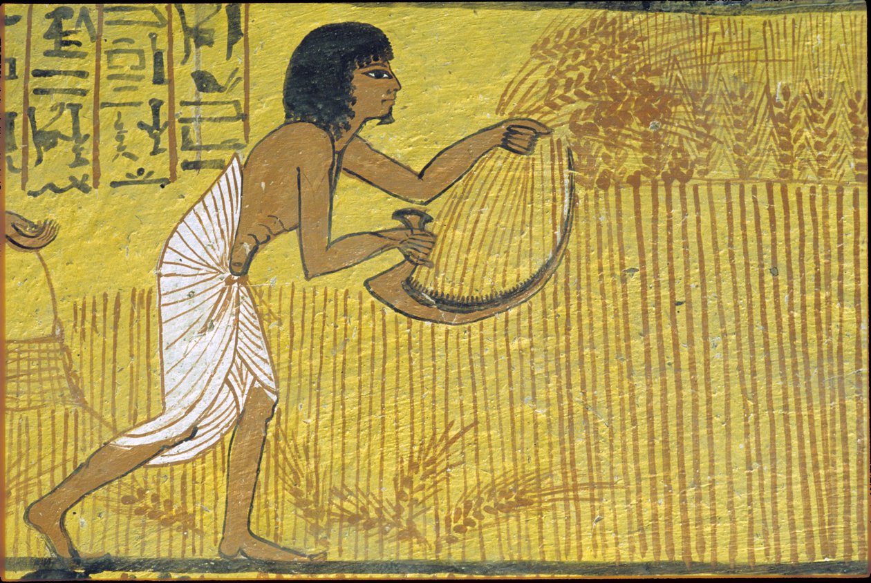  av Egyptian Egyptian