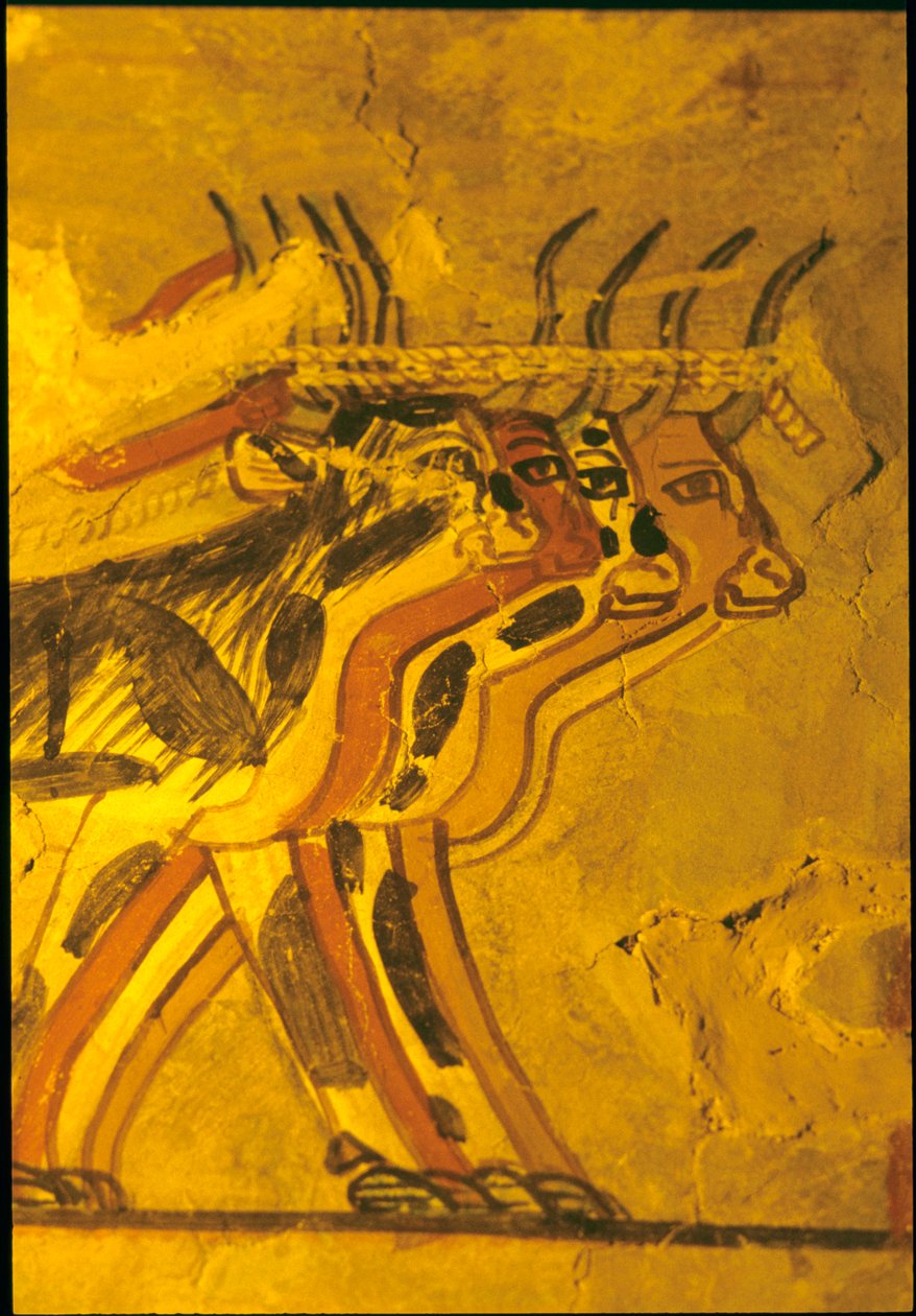  av Egyptian Egyptian