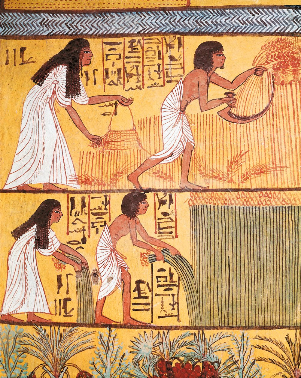 Detalj av en innhøstingsscene på østmuren, fra graven til Sennedjem, The Workers