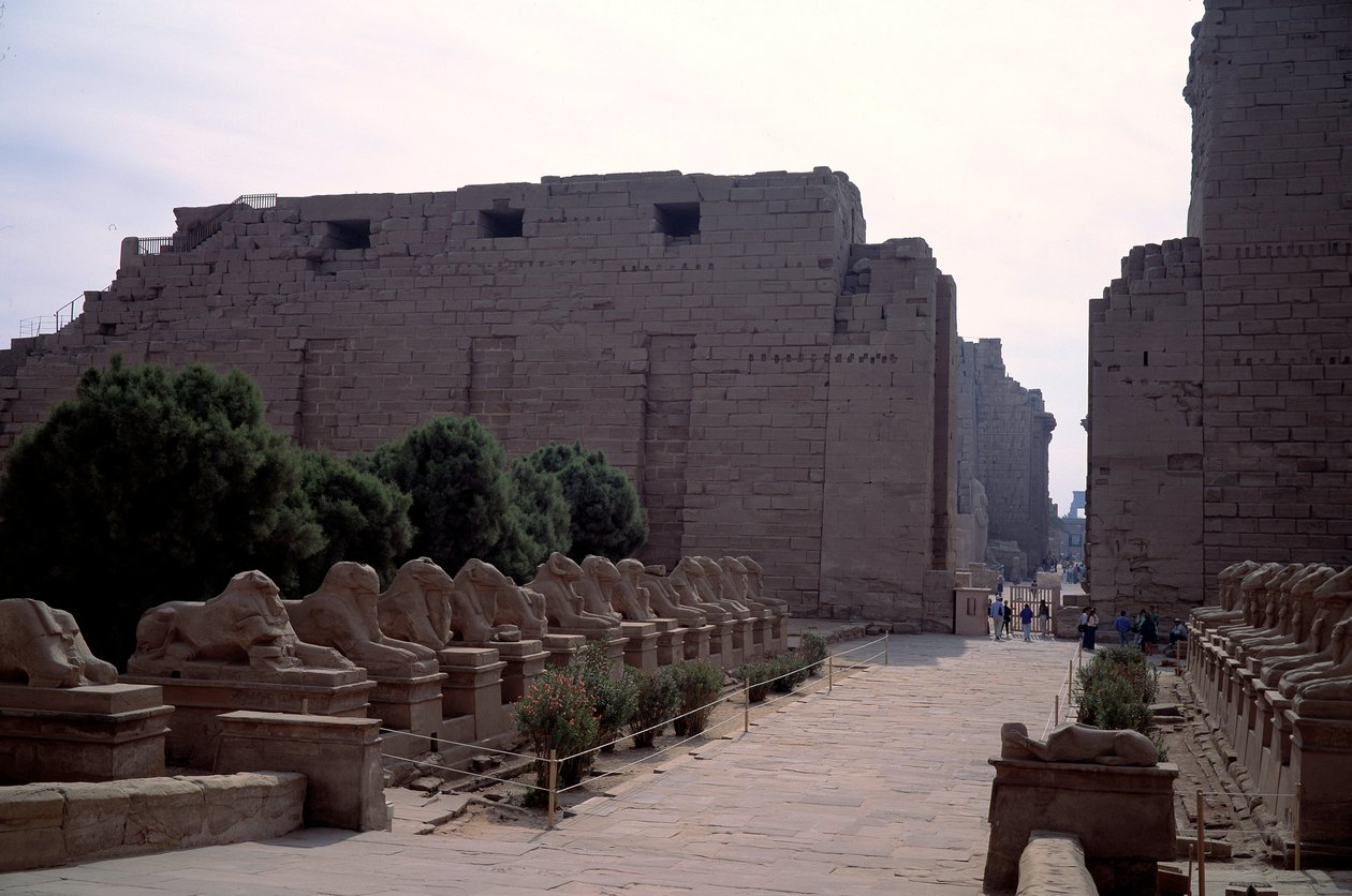 Egyptisk antikvitet: allee (dromos) av criosfinxen (sfinxen i spissen for beliers) i Karnak, Luxor, Egypt av Egyptian Egyptian
