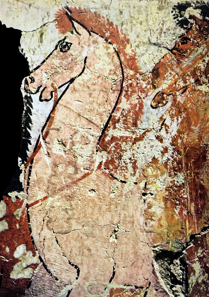  av Egyptian Egyptian